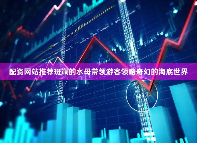配资网站推荐斑斓的水母带领游客领略奇幻的海底世界