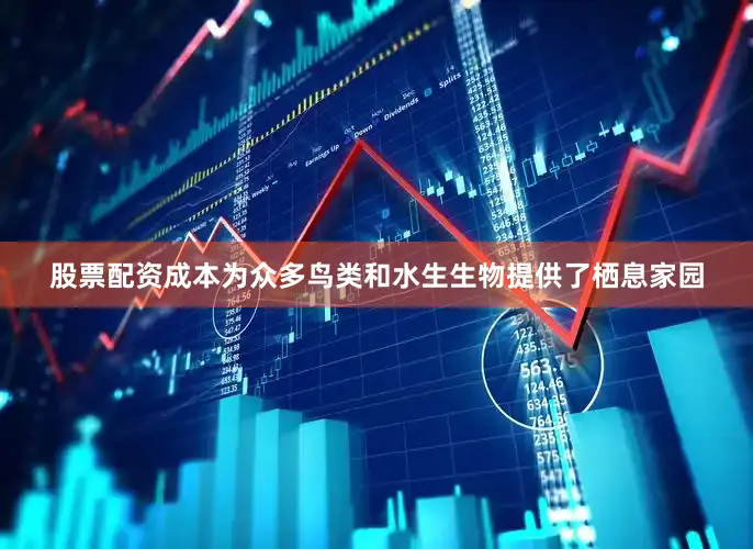 股票配资成本为众多鸟类和水生生物提供了栖息家园